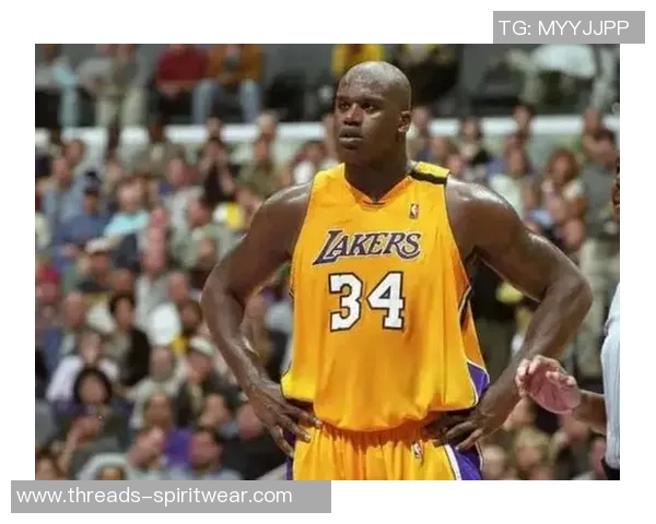 南京篮球队技术表现分析大满贯点评揭示球队优势与不足