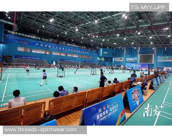 广州羽毛球队在全国羽毛球比赛经验排行榜中荣获第六名的辉煌成就分析