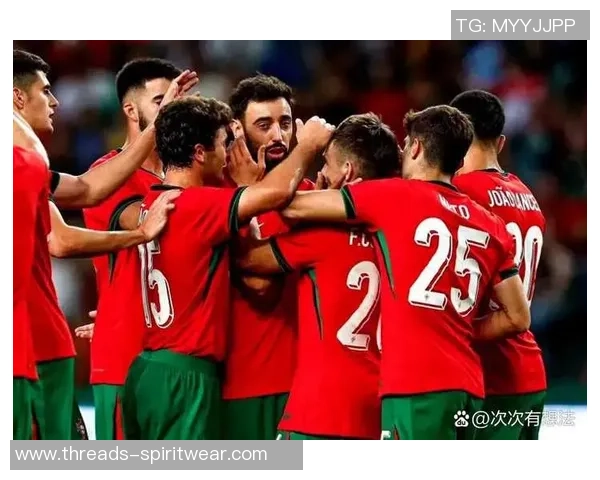 爱尔兰国家足球队现役明星球员完整名单及其精彩表现分析