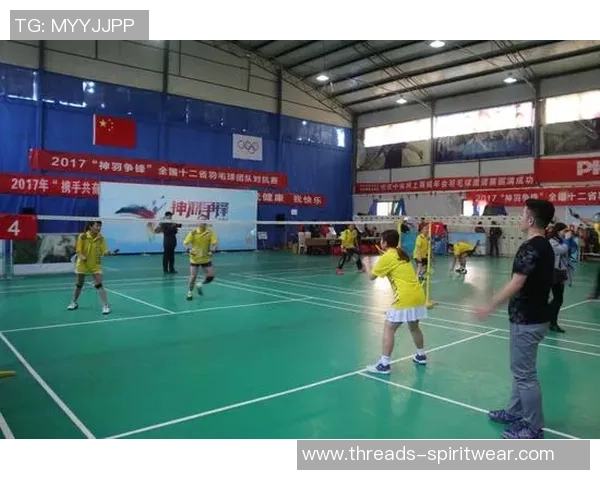 西安羽毛球队比赛经验深度对比与分析探讨