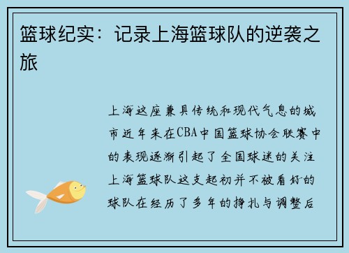 篮球纪实：记录上海篮球队的逆袭之旅