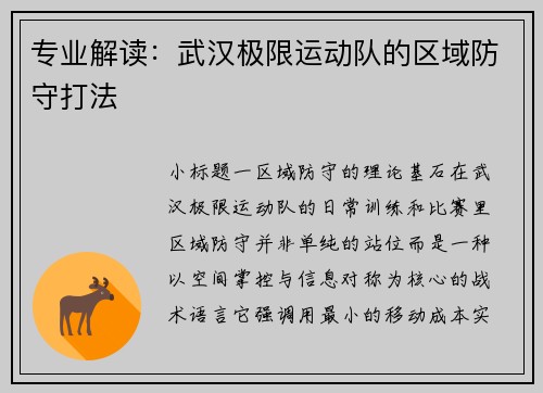 专业解读：武汉极限运动队的区域防守打法
