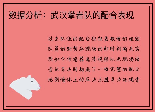 数据分析：武汉攀岩队的配合表现